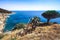 Seashore coastline with beach and rocks and rocky slope of the Island of Elba in Italy. Many people on the beach sunbathing. Blue