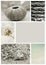 Seashore collage