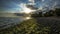 Seashore at Everglades National Park.