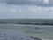 Seashore of Marina di Pisa beach with sailboats on the horizon in a cloudy day at summer. Tuscany, Italy