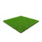 Seashore Paspalum Warm Season Grass on white. 3D illustration