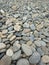 Seashore pebbles in an overcast day