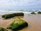 Seashore Rocks with Moss on Sea Sand