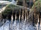 the seashore, rocky seashore, bare ice, blades of grass frozen with pieces of ice, natural formations