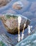 the seashore, rocky seashore, bare ice, blades of grass frozen with pieces of ice, natural formations