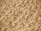 Seashore sand texture