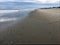 The seashore with shells on the sand next to the ocean.