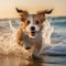 Seaside Bliss: Playful Puppy\\\'s Beach Escapade