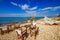 A seaside cafe near Zakynthos town