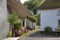 Seaside cottages, Devon