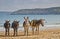 Seaside donkeys