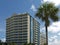 Seaside Hotel with Palm Tree