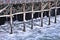 Seaside jetty in vancouver