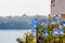 Seaside landscape - the blue geranium flowers on embankment against background