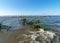 Seaside landscape from Estonia, sea grasses and rocks in shallow sea water, Kabli bird center, Parnu Bay, Estonia