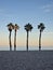 Seaside landscape peace and quiet sunset and four palm trees on the beach