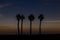 Seaside landscape peace and quiet sunset and four palm trees on the beach