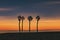 Seaside landscape peace and quiet sunset and four palm trees on the beach