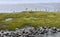 Seaside marsh landscape in the winter