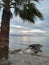 Seaside palm-tree watching the sunset