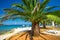 Seaside promenade on Brac island with palm trees and turquoise clear ocean water, Supetar, Brac, Croatia