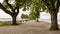 Seaside promenade at Estonian Haapsalu