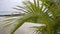 Seaside resort, bungalow on water in unfocused view from behind palm leaf on ocean