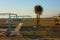 Seaside resorts in the winter, deserted, desolate. sandy beach in solitude