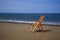 Seaside scenic view with beach chair