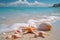 Seaside serenity Crystal clear water, seashells, and starfish on beach