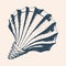 Seaside Treasures: Vintage Seashell Illustration