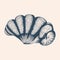 Seaside Treasures: Vintage Seashell Illustration