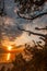 Seaside trees, sandy beach and a dramatic sunset sky over the tranquil Baltic Sea in Lithuania