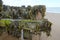 Seaside with wooden construction covered with fucus (rockweed) algae