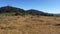 Season of autumn brings view of Kanchenjunga Himalayan range.