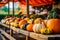 Season autumn fall harvest time tradition offer holiday many diversity fresh orange pumpkins Halloween Thanksgiving