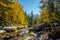 Season changing, first snow and autumn trees