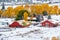 Season changing, first snow and autumn trees