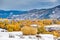 Season changing, first snow and autumn trees