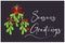 Season`s greetings. White calligraphy on a dark festive background with festive holly bunch. Great for holiday cards, banners, et