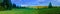 Season summer forest field landscape landscape panorama