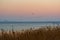 Seasonal bird migration over lake Zuvintas, Lithuania. Flocks of birds in the sky at sunrise, nature landscape