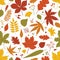 Seasonal botanical seamless pattern with autumnal foliage and berries scattered on white background. Motley autumn