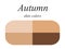 Seasonal color analysis palette for autumn type of female appearance. Skin colors for autumn type.