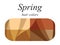 Seasonal color analysis palette for spring type of female appearance. Hair colors for spring type.