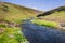 Seasonal creek running on the verdant plain of North Table Mountain Ecological Reserve, Oroville, California