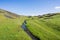 Seasonal creek running on the verdant plain of North Table Mountain Ecological Reserve, Oroville, California