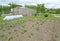 The seasonal dacha with the greenhouse and a hotbed. Spring