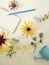 Seasonal decorative composition of wild flowers, berries, paper and pencils, sea salt, notepad on a light background