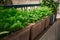 Seasonal greenery grows at balcony flowerpots